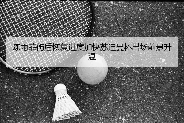 陈雨菲伤后恢复进度加快苏迪曼杯出场前景升温