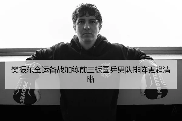 樊振东全运备战加练前三板国乒男队排阵更趋清晰